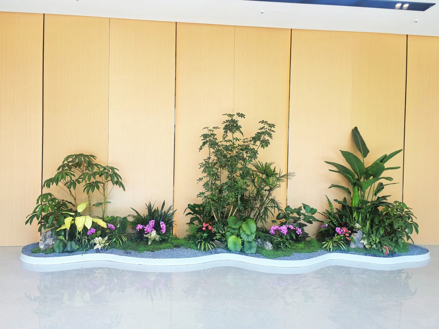 余姚植物出租，为您的空间增添自然清新气息