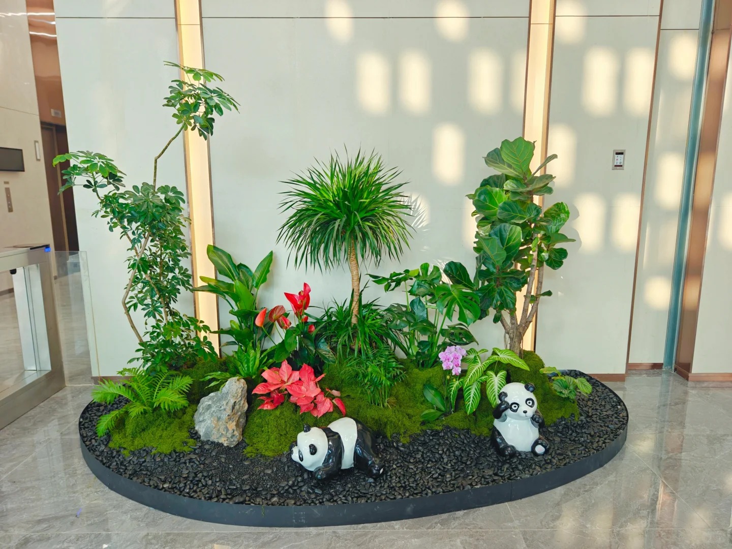 余姚植物出租，为您的空间增添自然清新气息